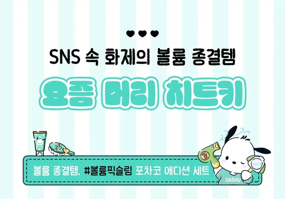 [포차코콜라보] 다슈 데일리 볼륨픽 슬림 기획(+인형키링) 상세페이지 6